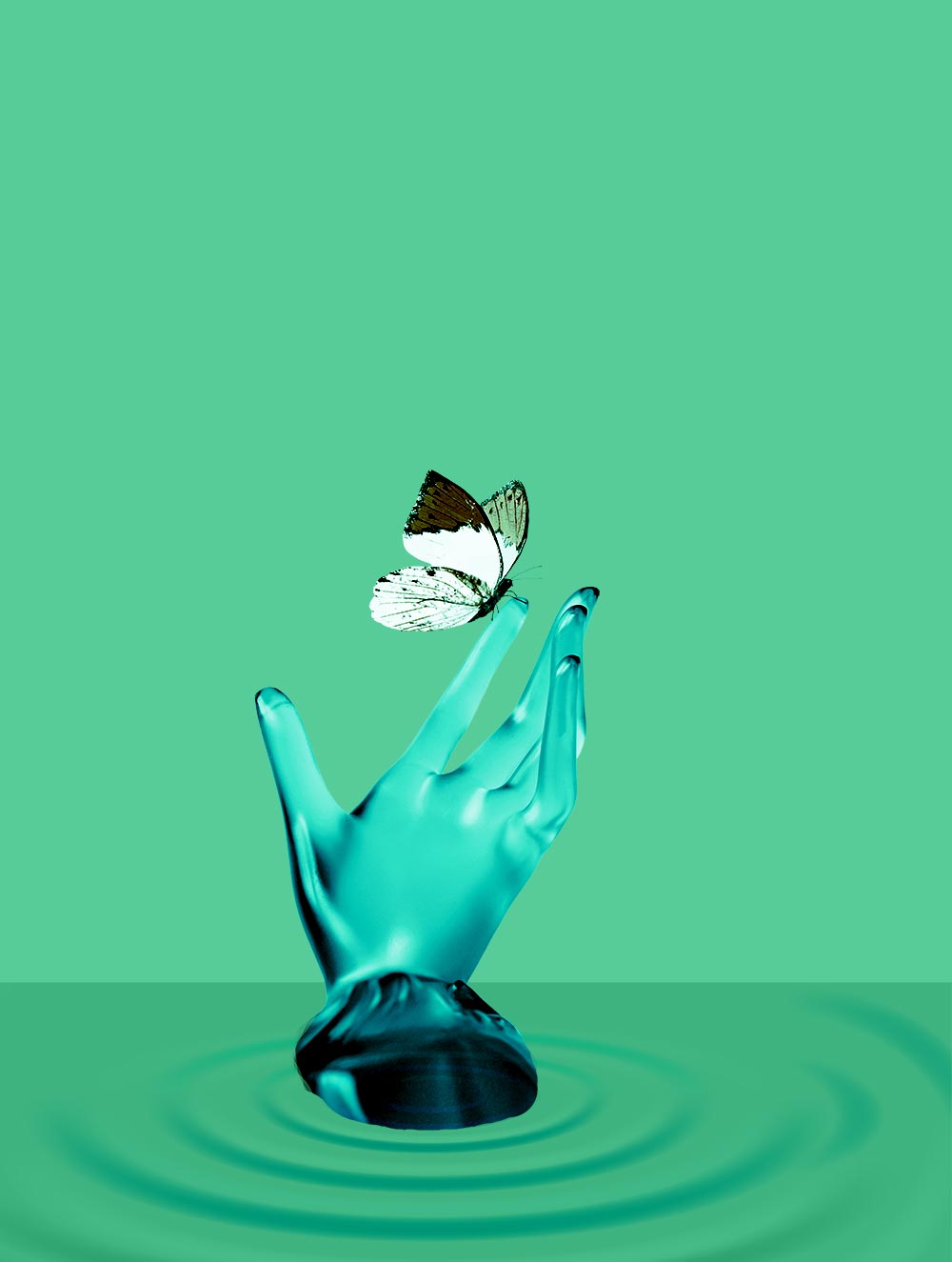 Transformation-Hand